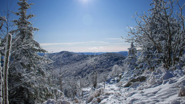 Check out snowy landscapes in Vermont.