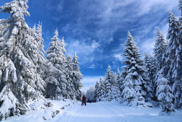 Check out Fillmore Glen in the winter to do some cross-country skiing.