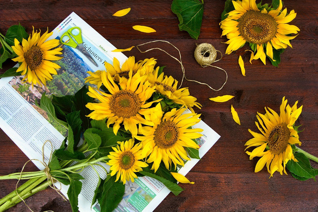 Instead of paper towels, you can reuse old newspapers.