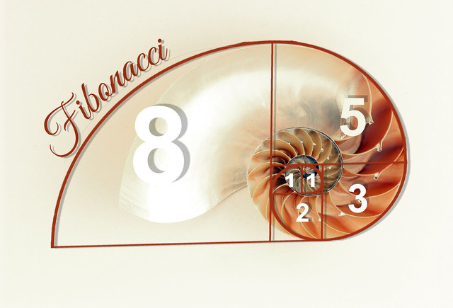 The differences between the Fibonacci and golden spirals are minimal.