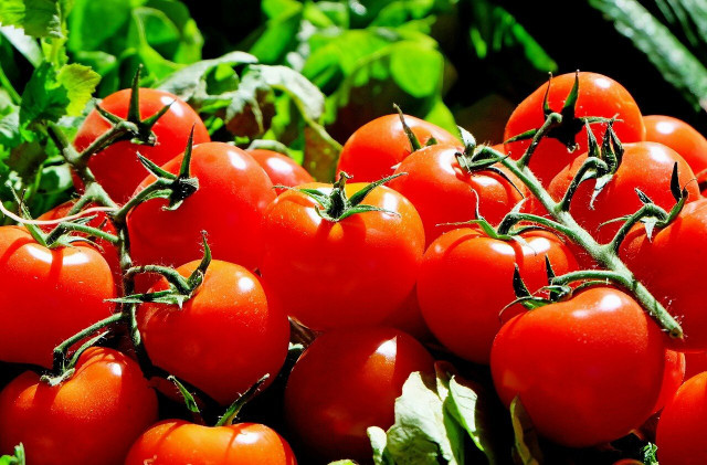 Tomatoes are high in histamines and can cause a reaction in people with histamine sensitivities.