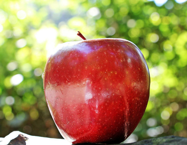 Apples contain anti-inflammatories which can reduce swelling from varicose veins.