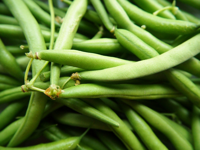 Fresh green beans make a tasty snack.