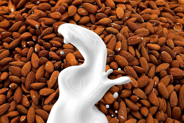 Some like the taste of almond milk, even though the process can be more difficult..