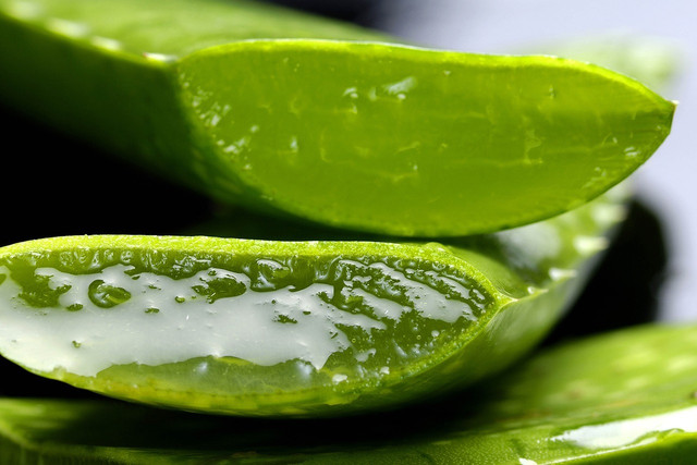 Aloe vera is great for many things, including fighting bad breath naturally.