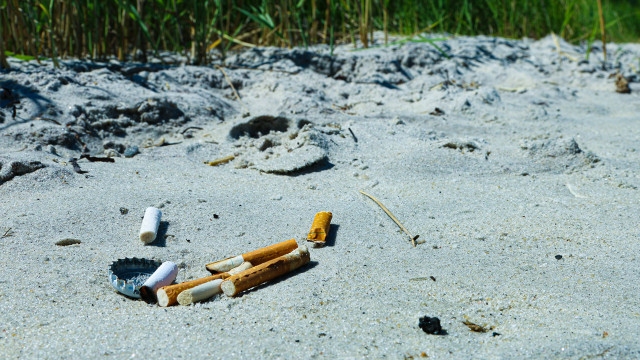 Are cigarette butts biodegradable? Sadly, no.