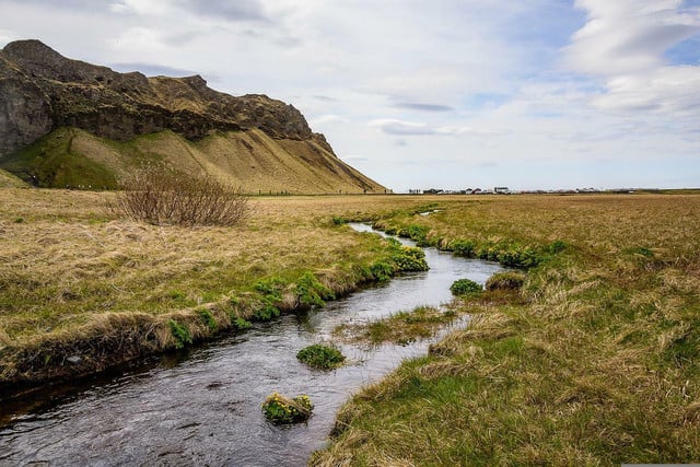 Ecosystems are made up of many living and non-living features.