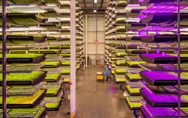 vertical farms sustainability