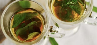 stinging nettle tea