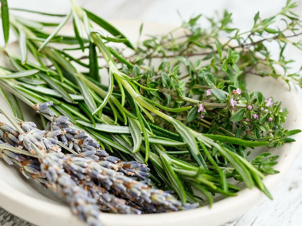 How to Dry Herbs