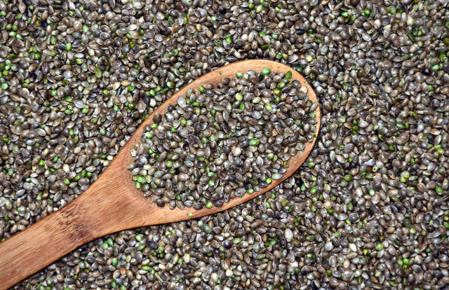 Hemp hearts are healthy and basically the perfect alternative to chia seeds in most recipes.