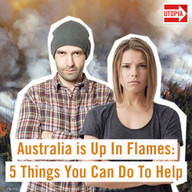 Australia is Up In Flames: 5 Things You Can Do To Help