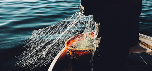 solutions to overfishing
