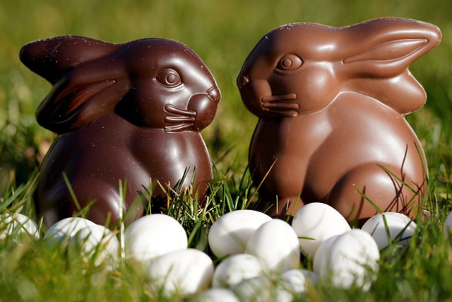 Not all chocolate bunnies can be considered animal-friendly.