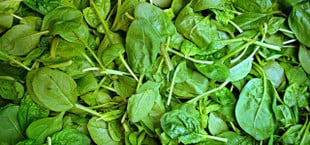 spinach benefits