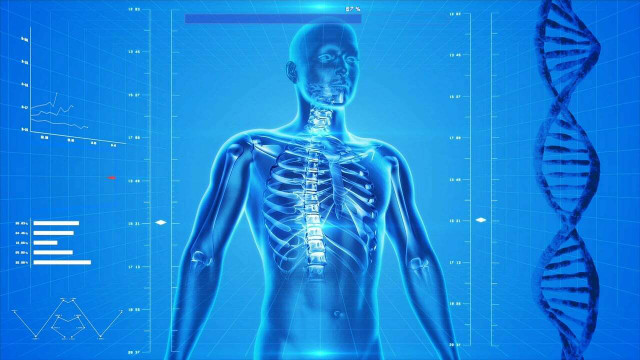 Hormesis appears to promote cell organelles' long-term homeostasis and healthy functioning.