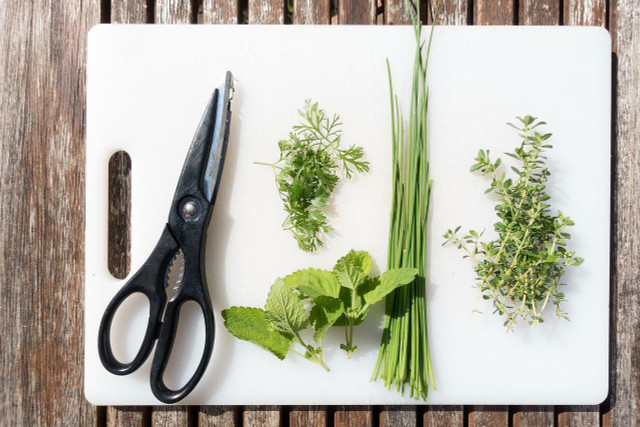 Much like other herbs, freezing chives is simple and straightforward. 
