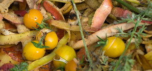 10 Surprising Benefits of Composting