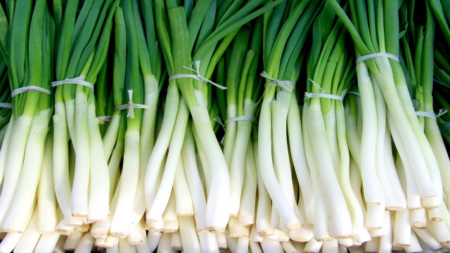 how to keep green onions fresh