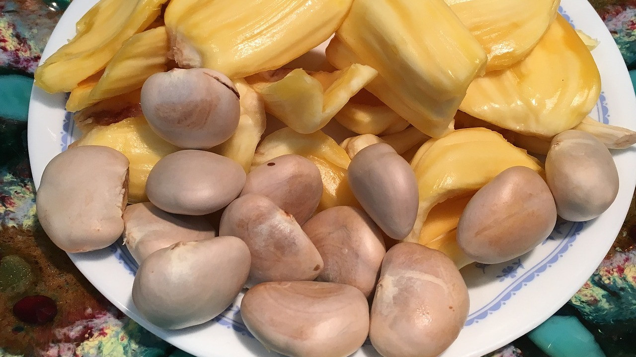 Jackfruit seeds online