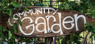 how to start community garden