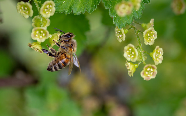 We must protect our living world.