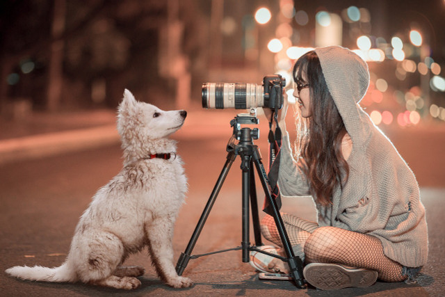 Whether you feel like photographing your dog, friends, family, strangers or landscapes, photo shoots are  a fun winter activity and winter decorations and lights will contribute to a  magical atmosphere. 