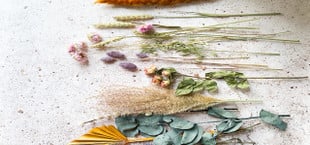 how to dry flowers