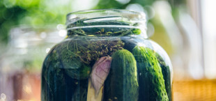 how to make homemade pickles
