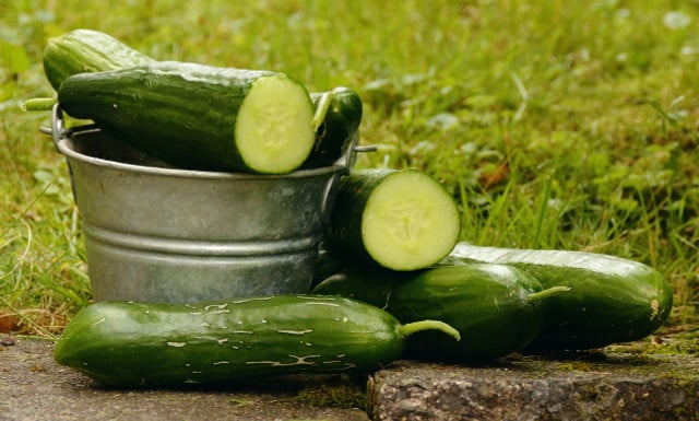 Sliced cucumbers fare better than whole ones when freezing.