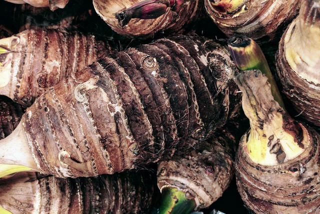 Taro root is a highly versatile vegetable.