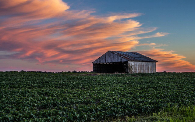 Indiana is known for soybean and corn production. 