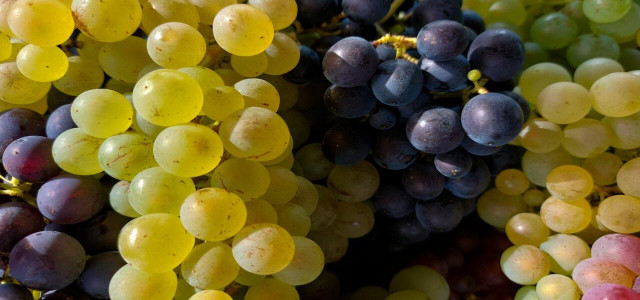how to wash grapes