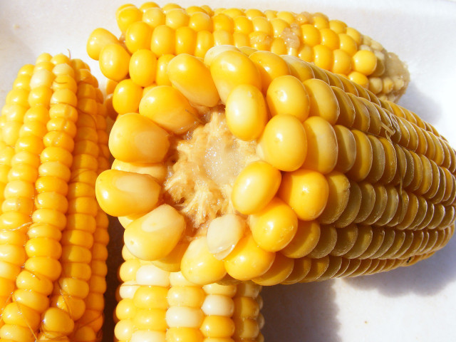 Learn how to reheat corn on the cob using three simple methods.