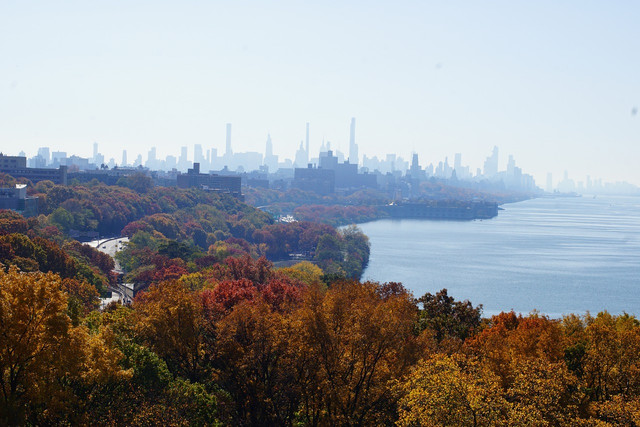 North of NYC along the Hudson river lies the Mills-Norrie State Park.