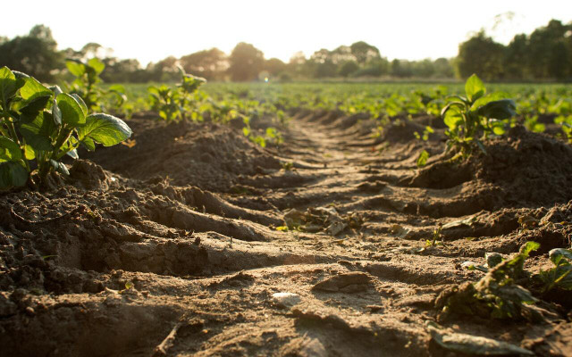 Taking care of soil around the globe is becoming a more pressing issue.