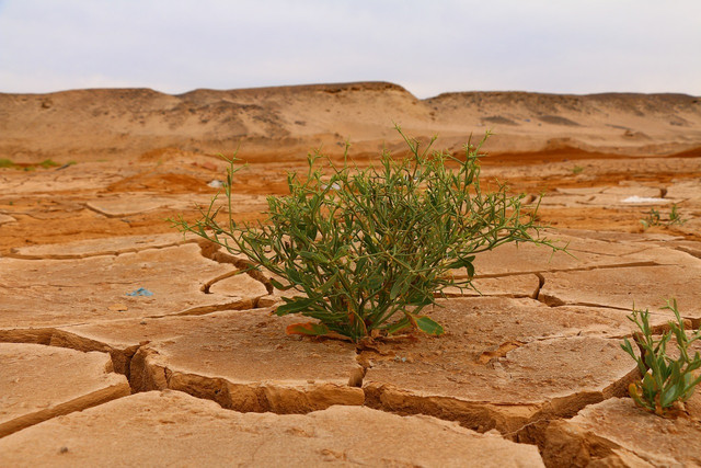 Get a breakdown of the global water crisis.