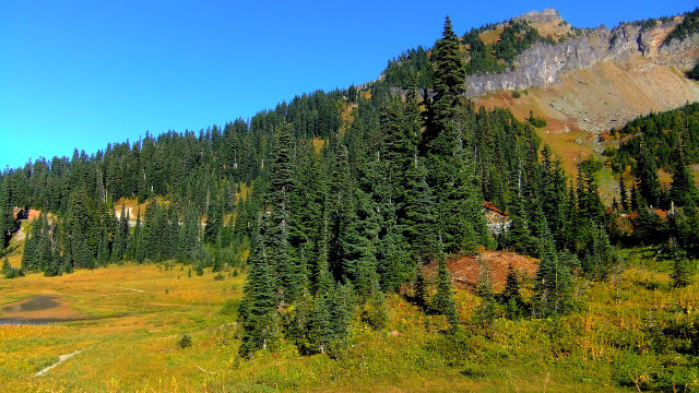 Try this easy Olympic National Park trail.