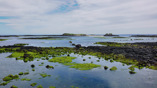 While seaweed isn't an ultra-trendy food right now, it's versatility combined with its sustainability makes it a crop of the future. 