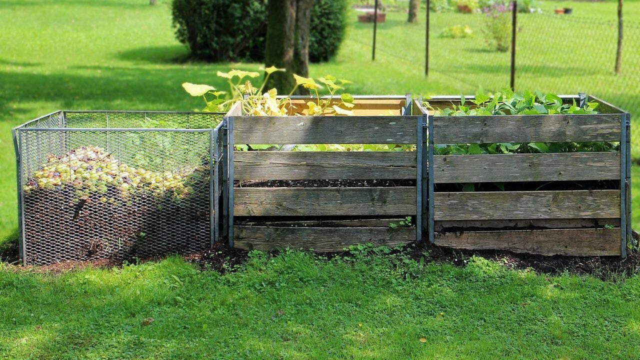 What You Can Compost, What You Can't — and Why - Utopia