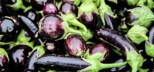 But organic, locally sourced eggplants – they do not need to be transported a long way and are cultivated in a sustainable way.