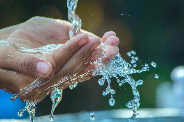 Activated charcoal can be used to naturally adsorb impurities in water.