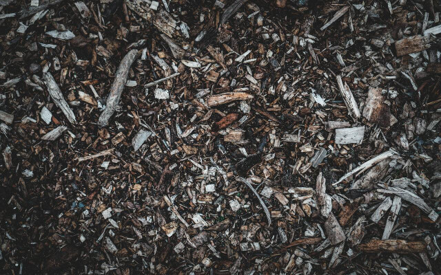 Mulch can keep keep weeds and pests at bay. 