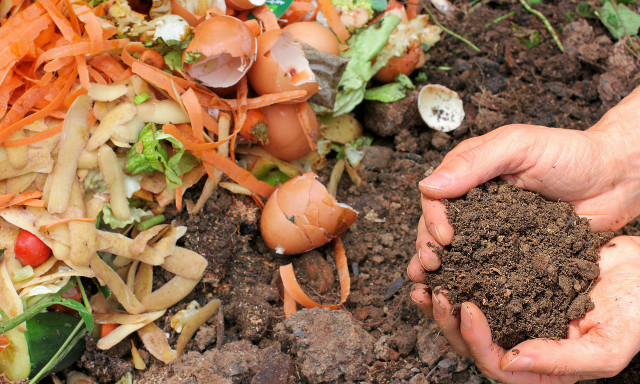 Composting is an eco-friendly way to dispose of food scraps. 