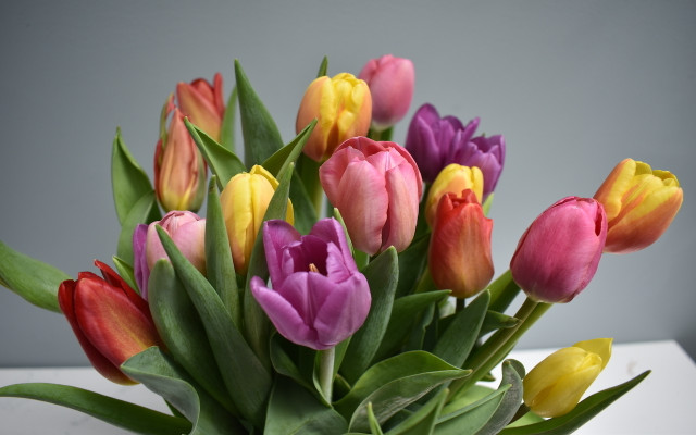 The bright colors of the tulip blooms brought a smile to my face every day this week.