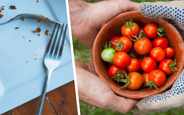 Pro tips for reducing food waste reduce food waste by sharing what you have