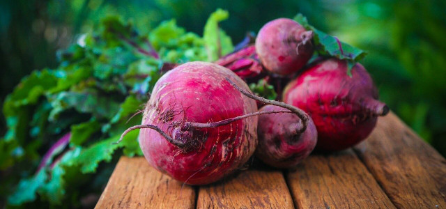 how to plant beets