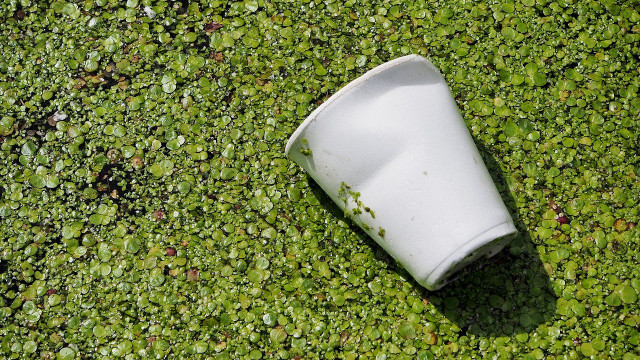 biodegradable vs. compostable
