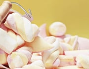 is marshmallow fluff vegan