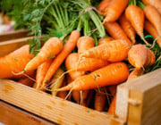 How to Store Carrots Like a Pro storing carrots at home